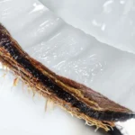 Lait Corps Noix de Coco – Image 3