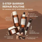 Madagascar Centella Probio-Cica Enrich Cream – Image 5